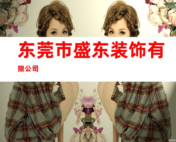 东莞市盛东装饰有限公司
